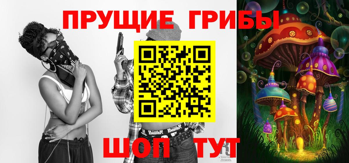 Галлюциногенные грибы Psilocybine cubensis  Вход с VPN  Псилоцибиновые грибы Magic Shrooms  Касимов 