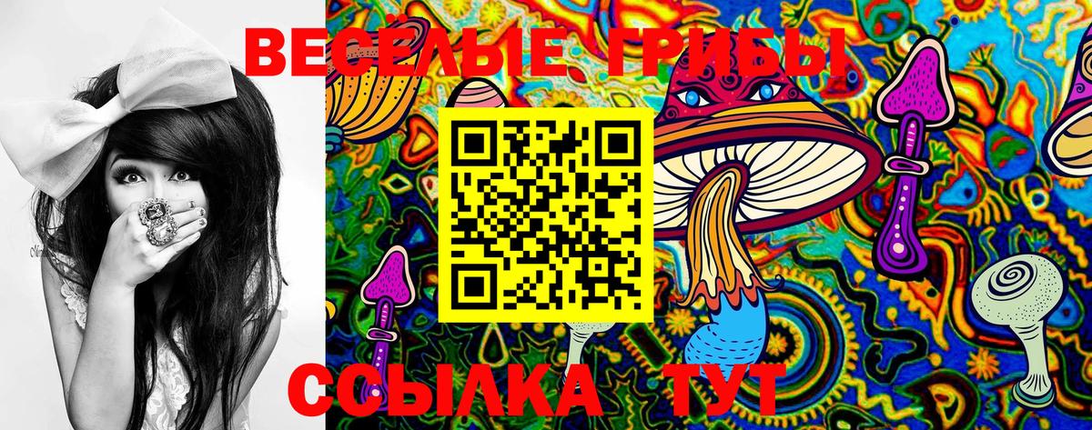 Галлюциногенные грибы мухоморы Касимов