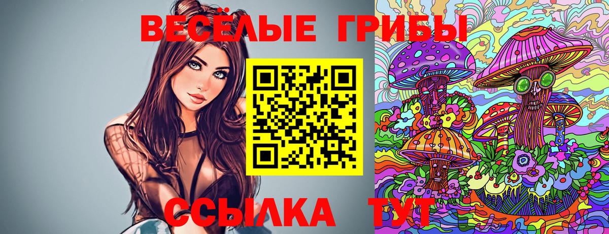 ГАШ  MDMA  Меф   МАРИХУАНА  Меф МЯУ МЯУ  ЭКСТАЗИ  Касимов  Вход с VPN  A PVP СОЛЬ  